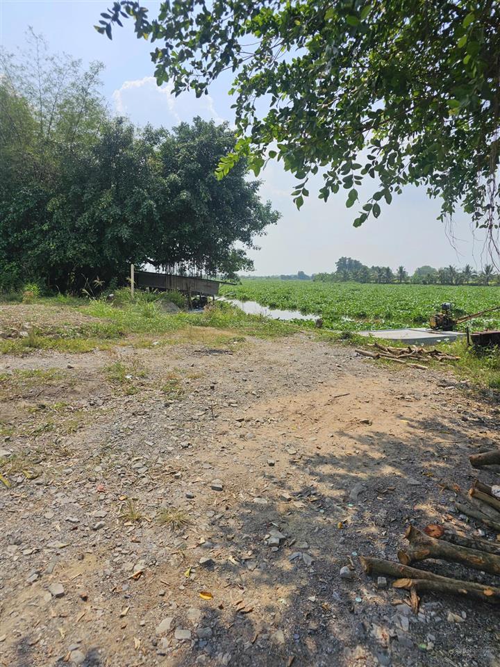 Siêu phẩm mặt tiền sông vàm cỏ đông, 600m2 chỉ 1,4ty, mặt tiền sông rộng 15m