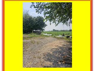 Siêu Phẩm mặt tiền Sông Vàm Cỏ Đông, 600m2 chỉ 1,4ty, mặt tiền sông rộng 15m