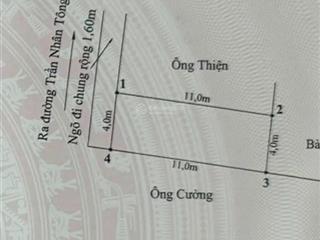 44m2 đất ngõ 47 trần nhân tông  cách mặt đường chính 50m.