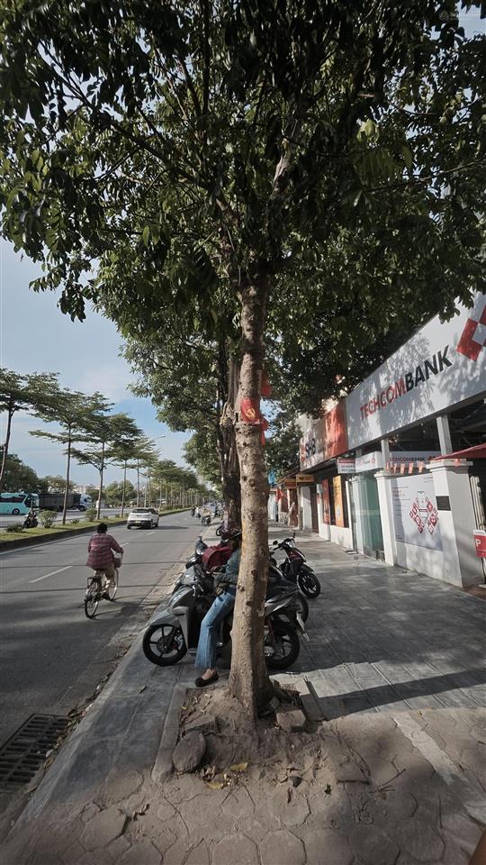 Cho thuê nhà riêng biệt thự 151m2 5 tầng giá 70tr/th tại mặt phố nguyễn cao luyện,  0941 861 ***
