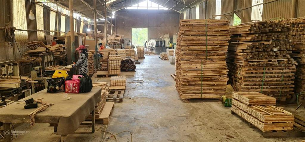 Dt 1905m2, ngang 20m 18 triệu/m2 đang cho thuê 50 triệu/tháng đang là xưởng sản xuất đồ gỗ