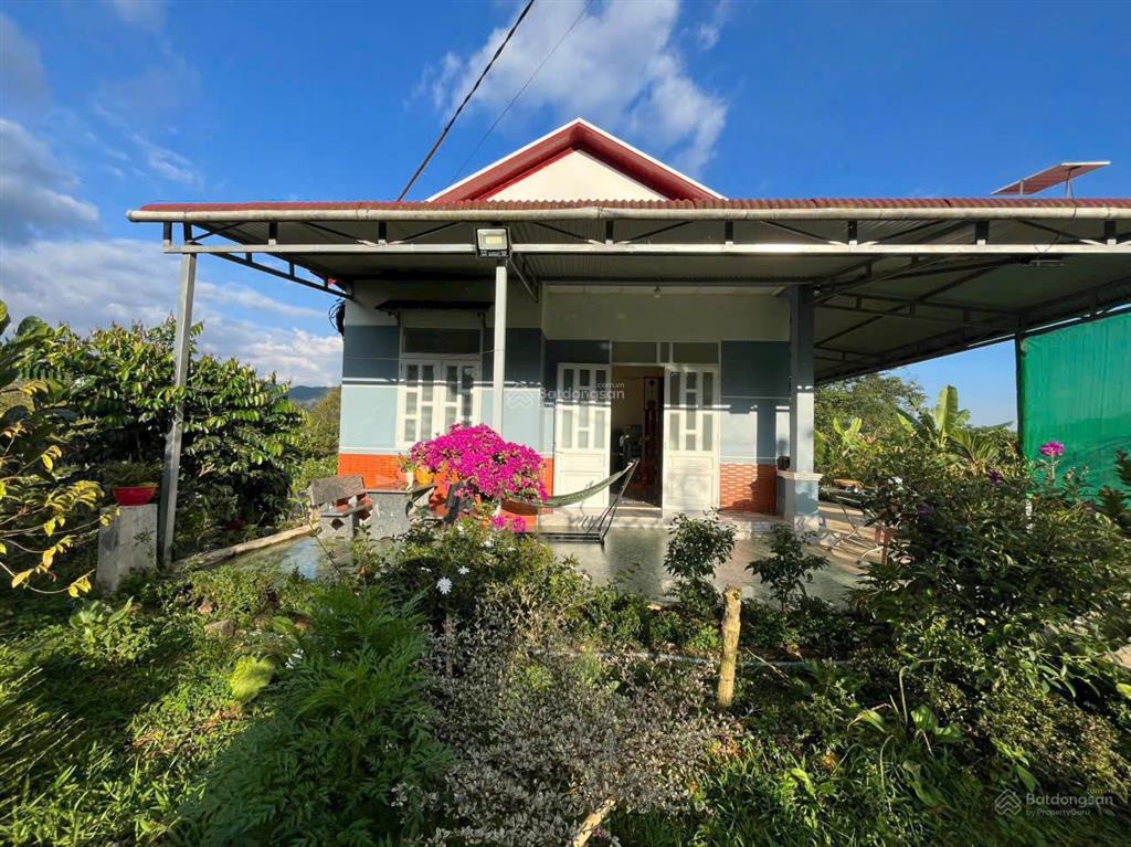 Nhà vườn 14x40m giá 1,5 tỷ bớt lộc nghỉ dưỡng, làm home, nhà vườn