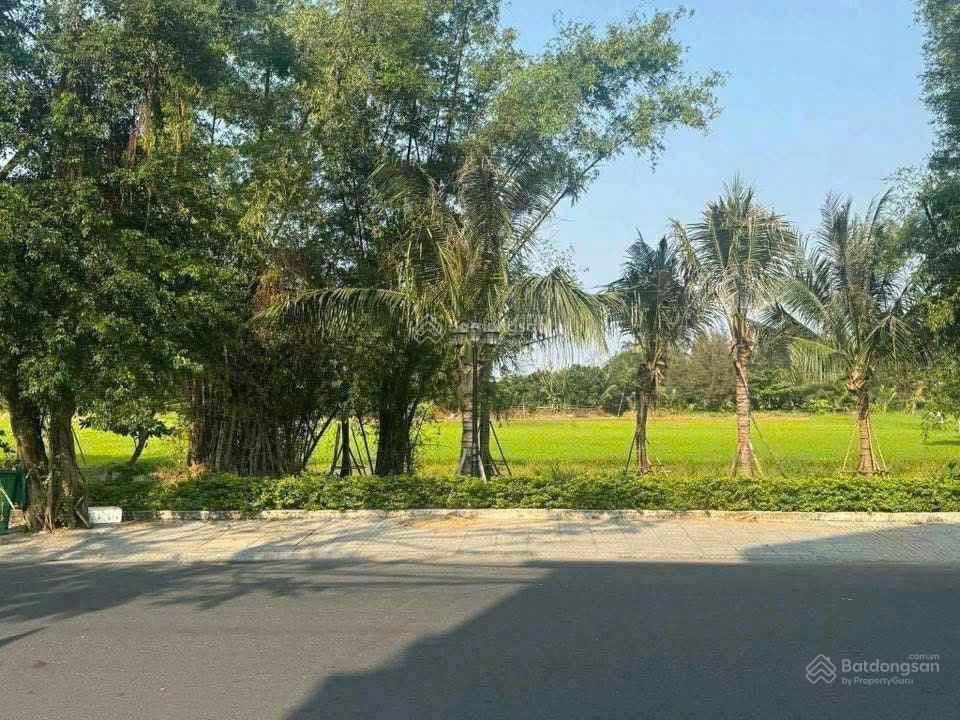 Mình cần bán nhà view lúa làm spa. trục chính lý thái tổ, hội an! giá tốt 193m2 gần biển an bàng