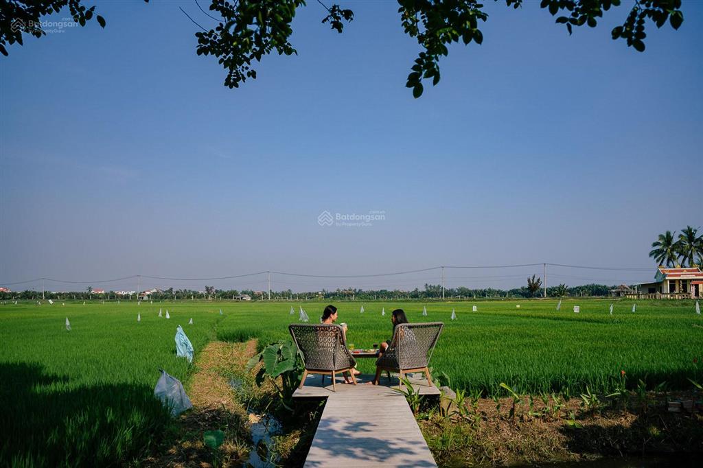 Mình cần bán nhà view lúa làm spa. trục chính lý thái tổ, hội an! giá tốt 193m2 gần biển an bàng