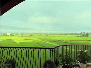 Mở cửa ra là cả bầu trời xanh ngát  chỉ 3 tỷ cho 100m view lúa an mỹ gần biển an bàng
