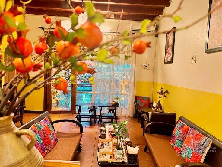Mt trương minh lượng, căn cổ này giữa nét trầm mặc của hội an và giá trị thương mại bền vững. 17 tỷ