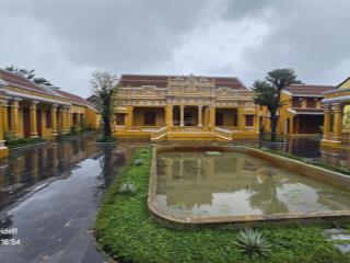 Cho thuê np đẹp xuất sắc tại phan châu trinh, 350 triệu, 2000m2