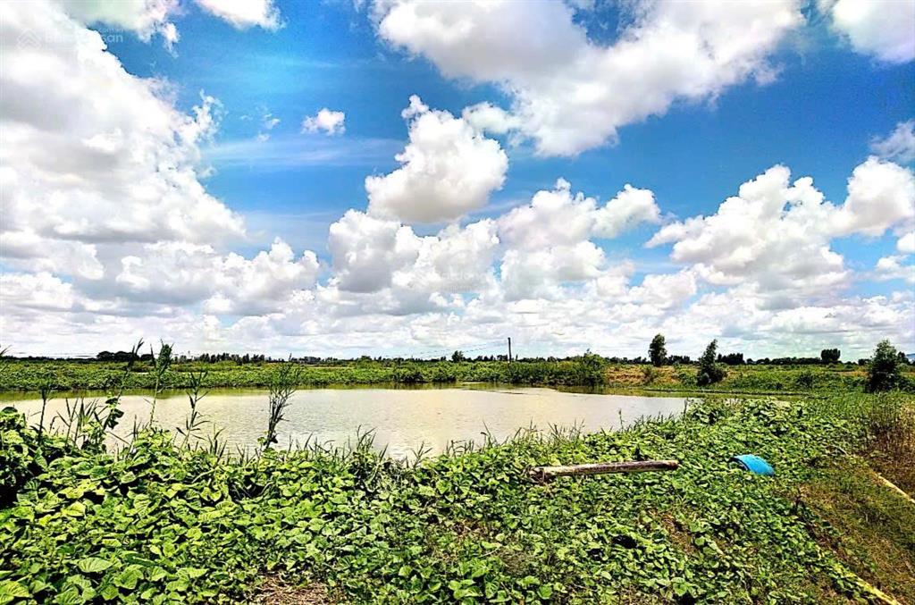 Bán 7 ha đất mặt tỉnh lộ 941 xã vĩnh hanh, huyện châu thành, an giang