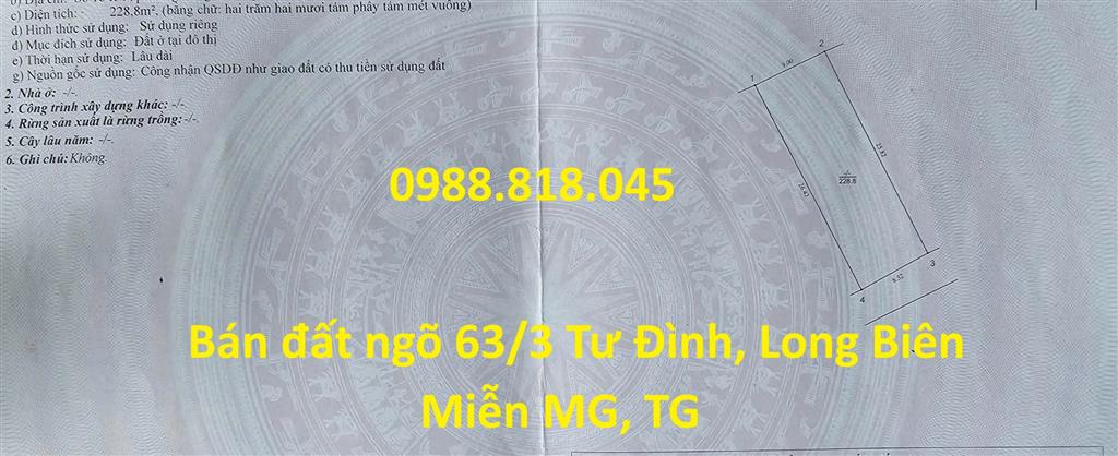 Chính chủ bán đất phân lô ngõ 63 Tư Đình, phường Long Biên, thành phố Hà Nội, 229m2,