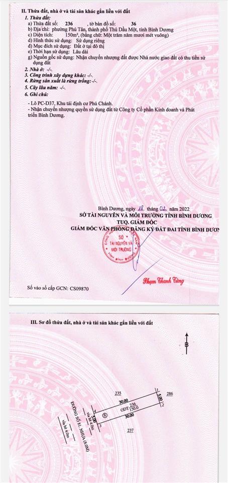 Bán nguyên lốc 10 lô đường 81 và 87 khu tđc phú chánh, mỗi lô 150m2 phù hợp làm kho xưởng giá tốt