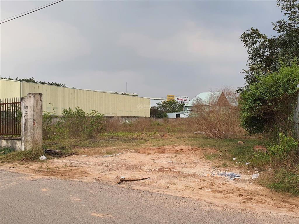 Bán 3850.7m2 mặt tiền dx 01 phú mỹ có 1200m2 thổ cư, xây khách sạn xây villla quá đẹp giá tốt nhất