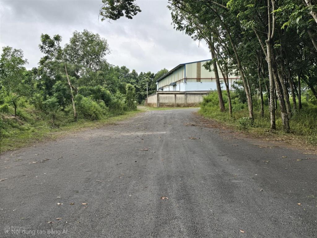 Đất hòa lợi kế bên trung tâm tp mới, 2166m2 thổ cư 1913m2 xây trọ cao cấp, xây kho quá đẹp giá ngộp