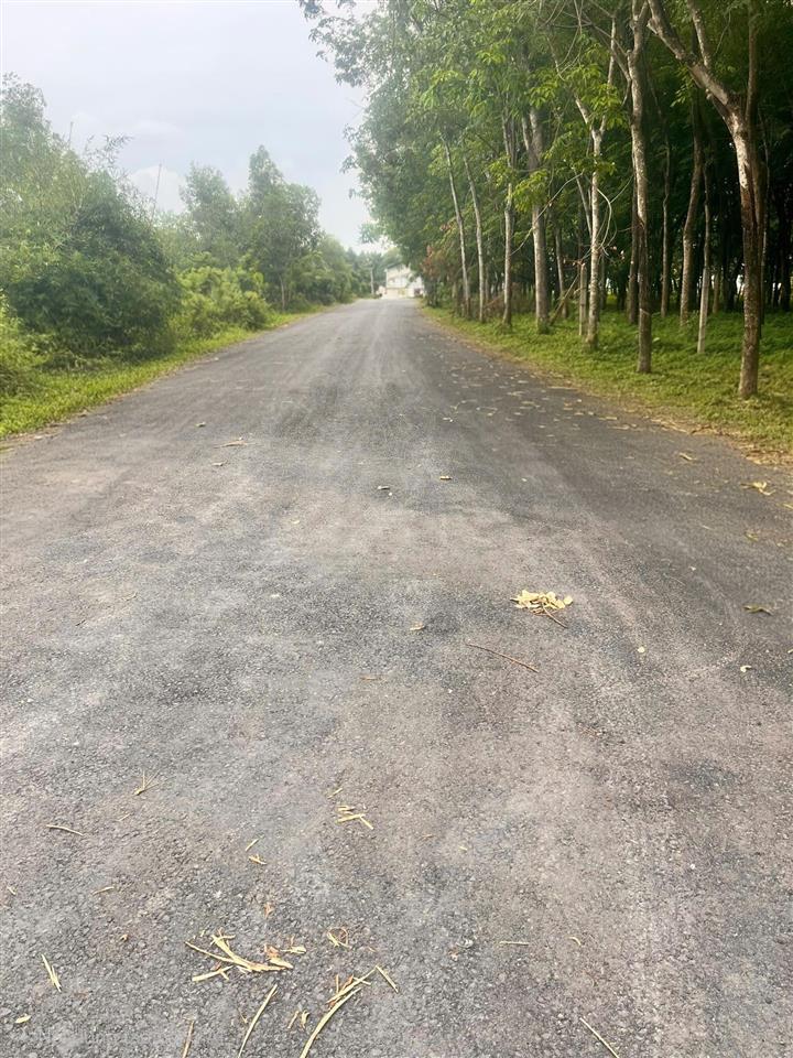Đất hòa lợi kế bên trung tâm tp mới, 2166m2 thổ cư 1913m2 xây trọ cao cấp, xây kho quá đẹp giá ngộp