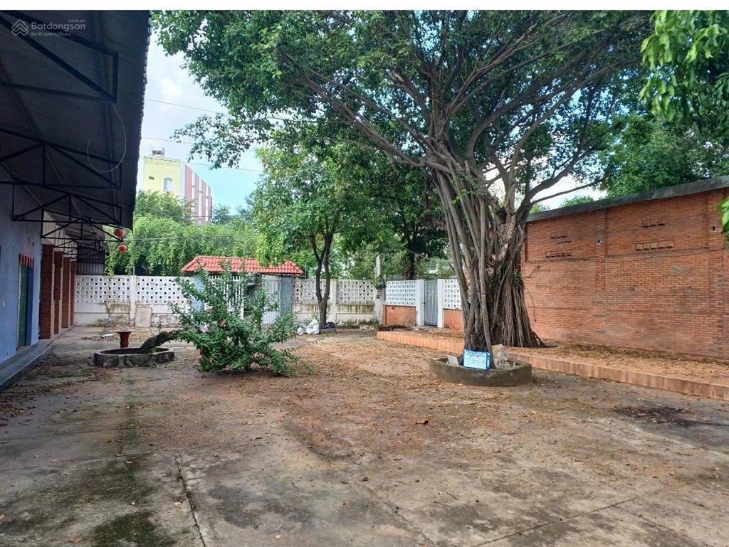 Siêu phẩm xây biệt thự sân vườn chánh nghĩa, thủ dầu một. diện tích 20,5x37m đường ôtô né nhau luôn