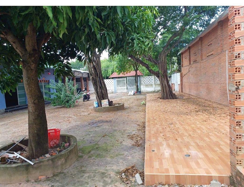 Siêu phẩm xây biệt thự sân vườn chánh nghĩa, thủ dầu một. diện tích 20,5x37m đường ôtô né nhau luôn