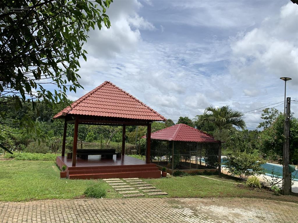Ko người trông coi cần bán 2.2ha đất tổ 3 ấp 7 xã nam cát tiên, đngiá 12,5 tỷcó tn 300tr/năm