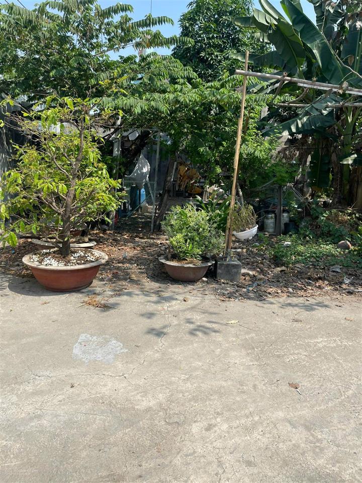 Bán nhà đất mt bến nghé, p. tân thuận đông, q7  34,4 x 53  1823,3 m2  giá 37 tỷ