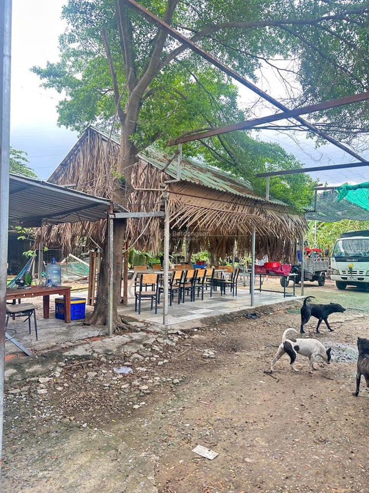 Bán 2116m nhà đất huỳnh tấn phát, p phú thuận 50mx42,3m có 2001m2 thổ cưhẻm 6,5m giá  100tr/m2
