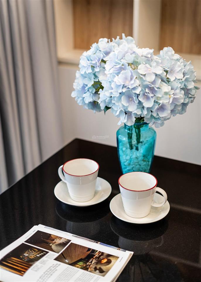 Cho thuê studio ban công 30m2 ngay tôn thất tùngđối diện bệnh viện qt sài gòn