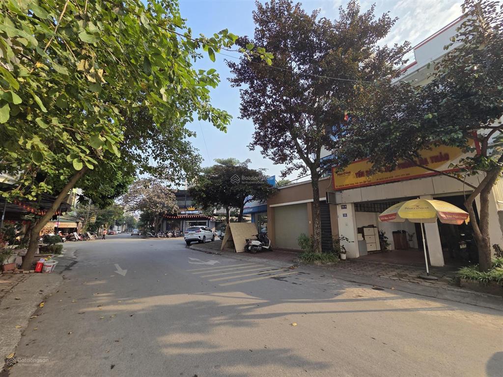 Chính chủ bán nhà mặt phố chính trung (khu 31ha)