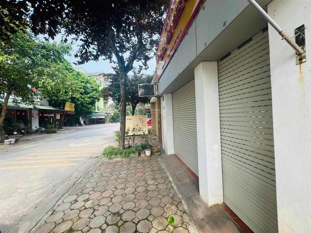 Chính chủ bán nhà mặt phố chính trung (khu 31ha)