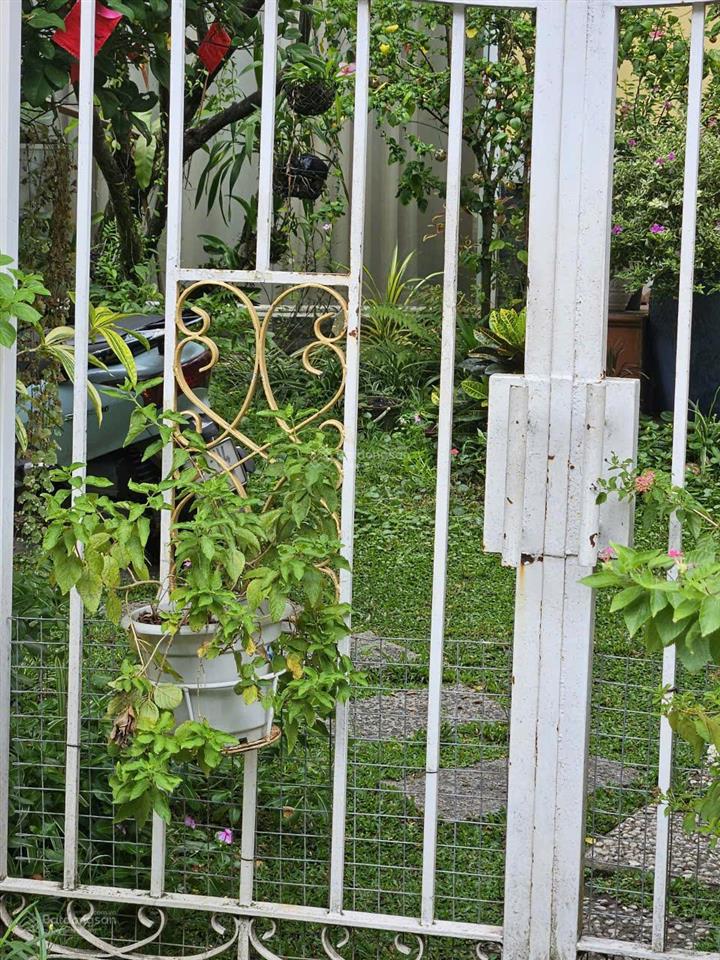 Bán đất ngay trung tâm bảo lộc 60 phan chu trinh  bên hông nhà thờ tân hà, tiện xây villa homestay