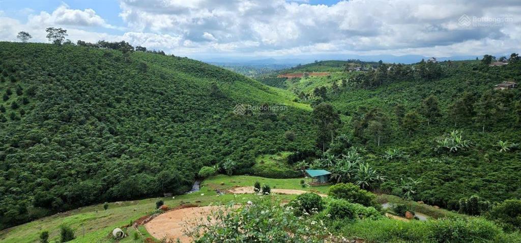Bán gấp 10.000m2 đất phường 1 bảo lộc  phù hợp làm nhà vườn, homestay, cà phê suối
