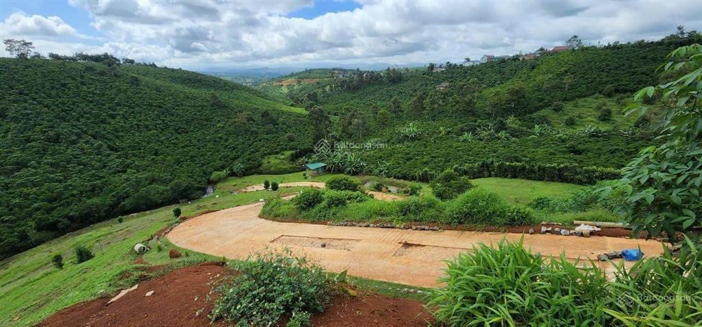Bán gấp 10.000m2 đất phường 1 bảo lộc  phù hợp làm nhà vườn, homestay, cà phê suối