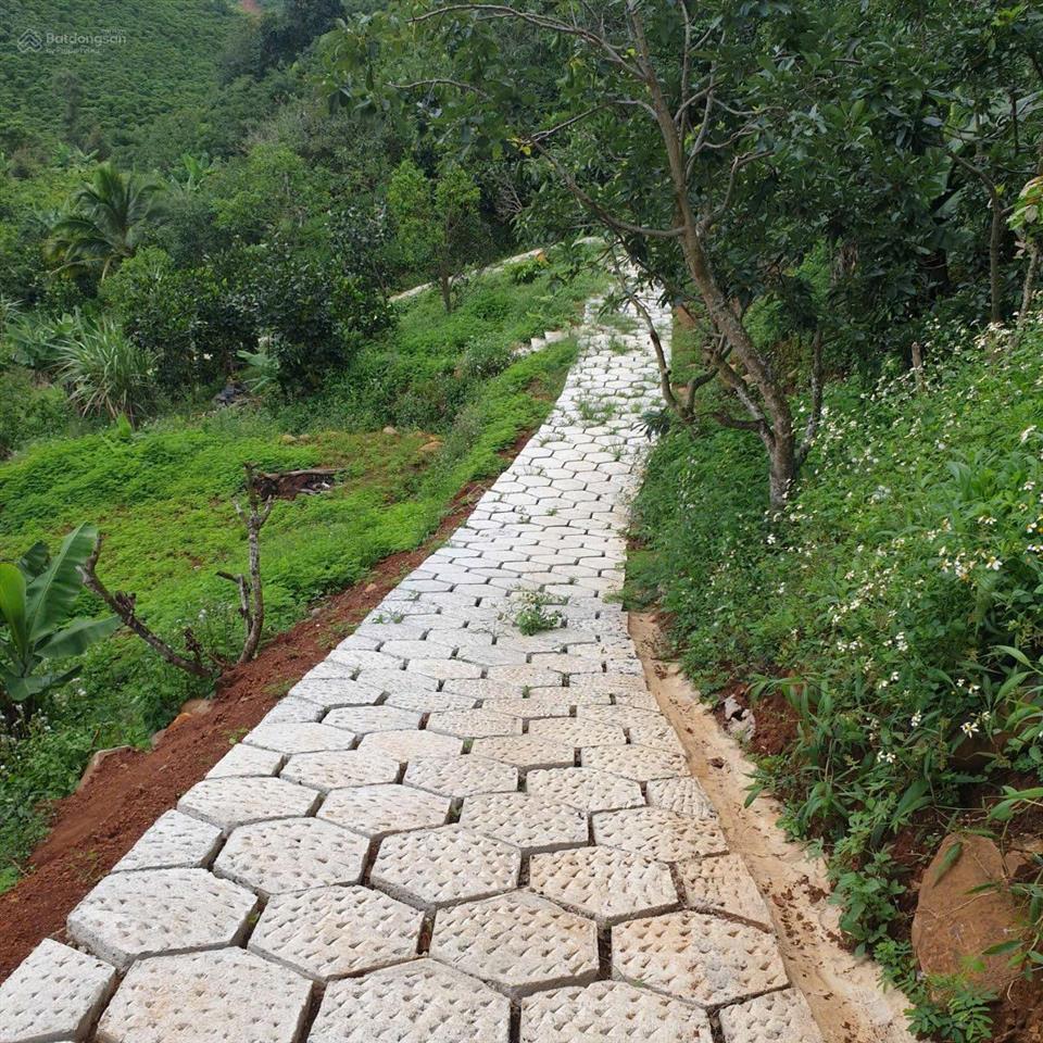 Bán 4000m2 có 10m mt đường nhựa nguyễn trãi, p1, bảo lộc  view siêu đẹp làm nhà vườn, homestay, cf