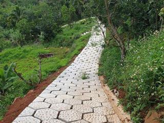 Bán 4.000m2 có 10m mt đờng nhựa nguyễn trãi, p1, bảo lộc  view siêu đẹp làm nhà vườn, homestay, cf