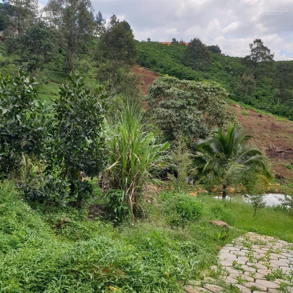 Bán 4000m2 có 10m mt đường nhựa nguyễn trãi, p1, bảo lộc  view siêu đẹp làm nhà vườn, homestay, cf