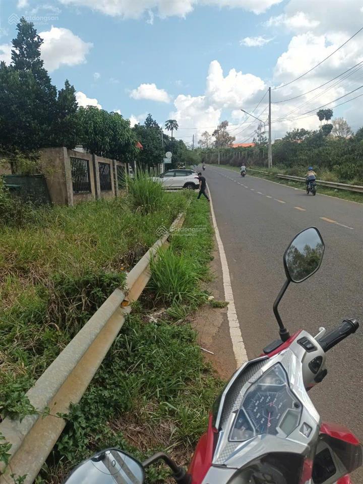 Bán 4000m2 có 10m mt đường nhựa nguyễn trãi, p1, bảo lộc  view siêu đẹp làm nhà vườn, homestay, cf