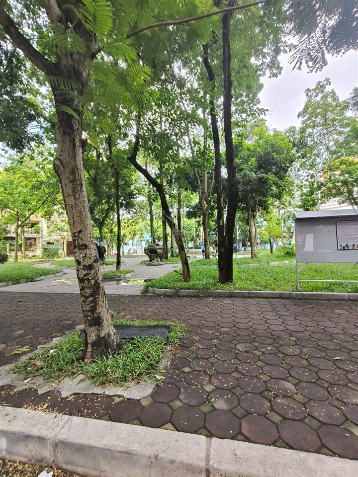 Siêu biệt thự kđt mỹ đình 1  165m² x 4 tầng, ô tô, view công viên