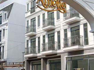 🏠 Shophouse Amelie – Vừa sống đẳng cấp, vừa tạo thu nhập mỗi ngày