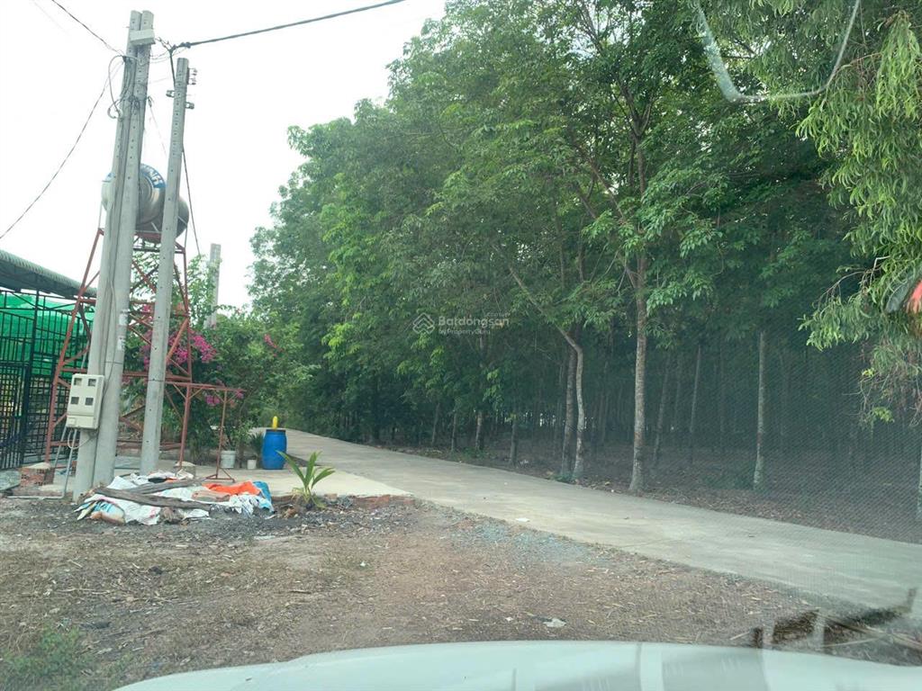 Chính chủ bán đất 1,05 tỷ 520m2 ngang 16m, 100m2 tc, hẻm beton cao bá quát, nhà nghỉ thanh tước vào