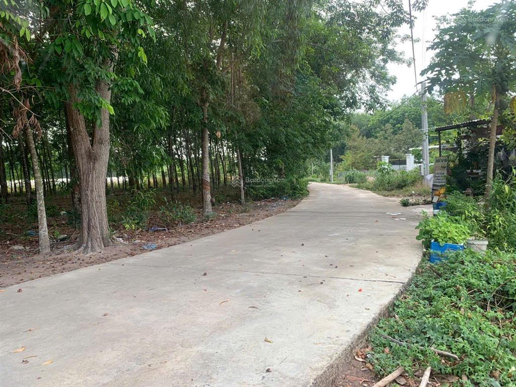 Chính chủ bán đất 1,05 tỷ 520m2 ngang 16m, 100m2 tc, hẻm beton cao bá quát, nhà nghỉ thanh tước vào