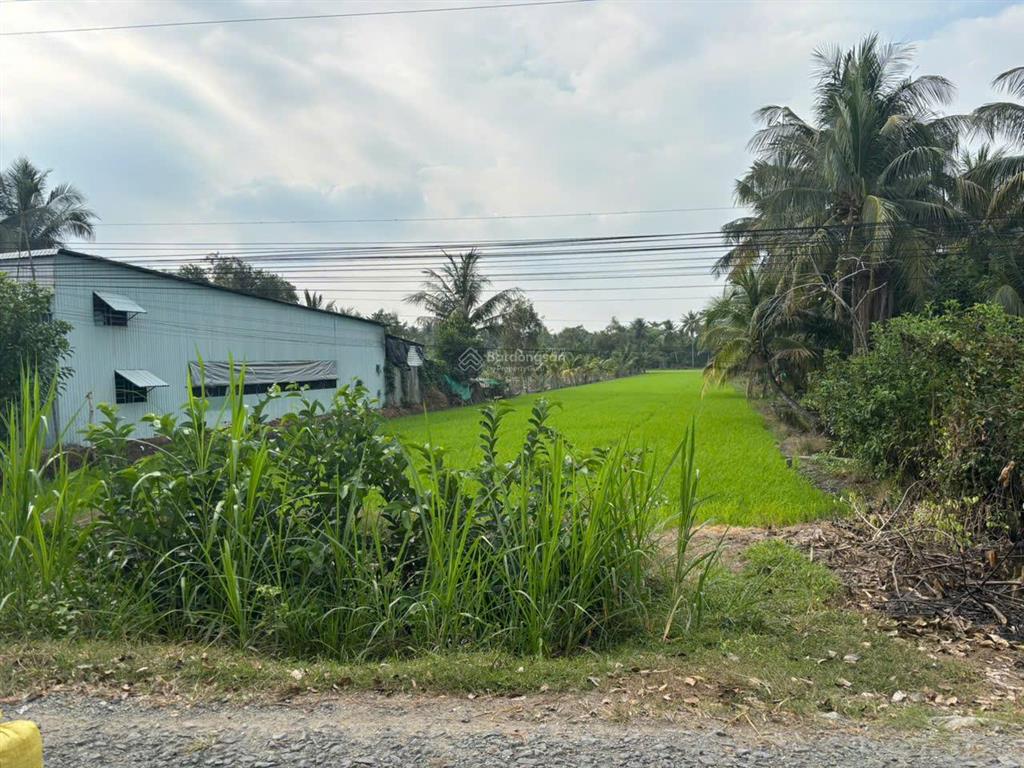 Bán gấp 4.730m² đất lúa mặt tiền đường huyện 22