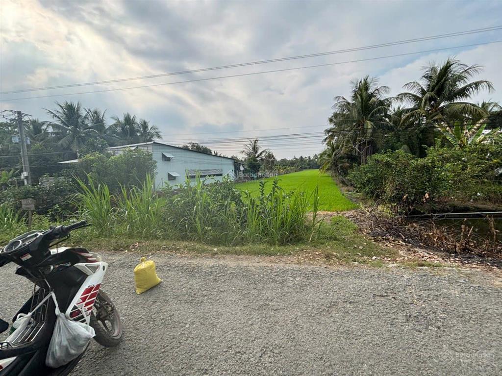 Bán gấp 4.730m² đất lúa mặt tiền đường huyện 22