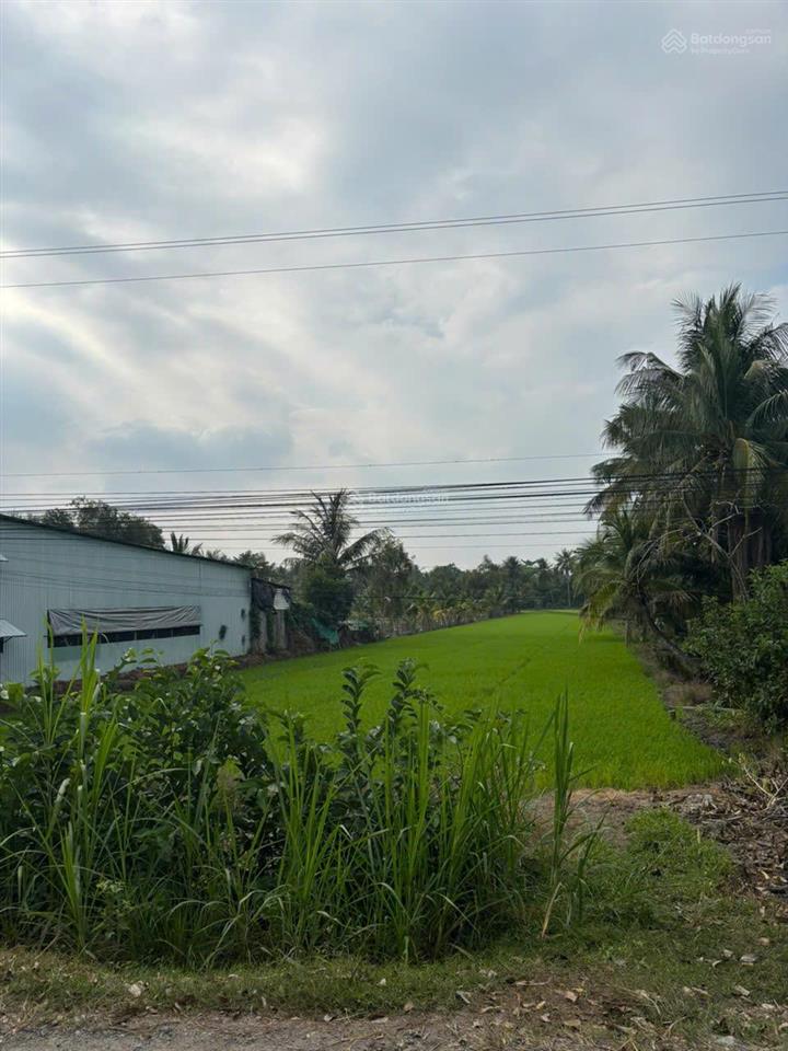Bán gấp 4.730m² đất lúa mặt tiền đường huyện 22