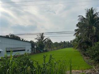 Bán gấp 4.730m² đất lúa mặt tiền đường huyện 22