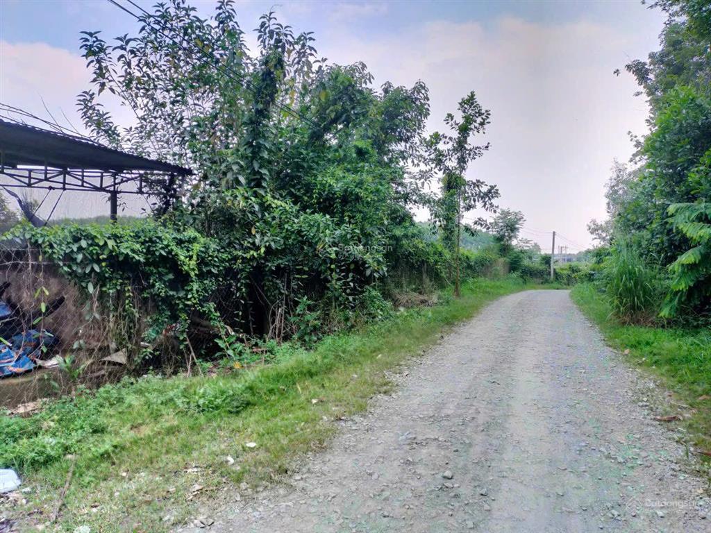 Bán đất cao su tại hiếu liêm, 9 tỷ, 23000 m2, pháp lý đầy đủ, mặt tiền 220m