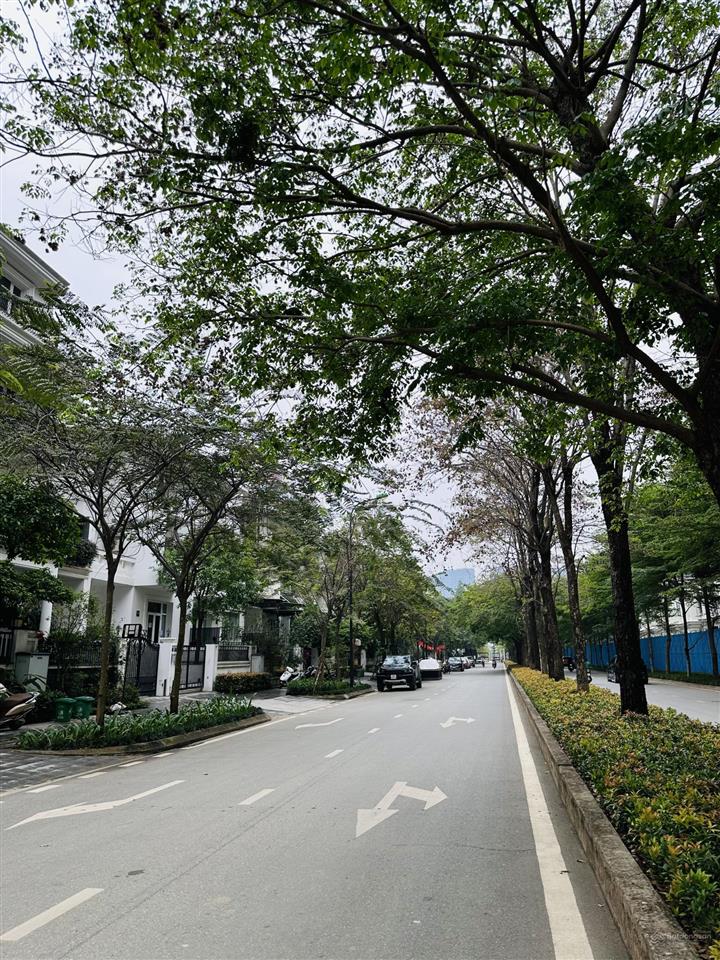 Duy nhất một căn cực hiếm, biệt thự ciputra, khu k trục chính đường đôi 180m2 mặt tiền 9m giá tốt