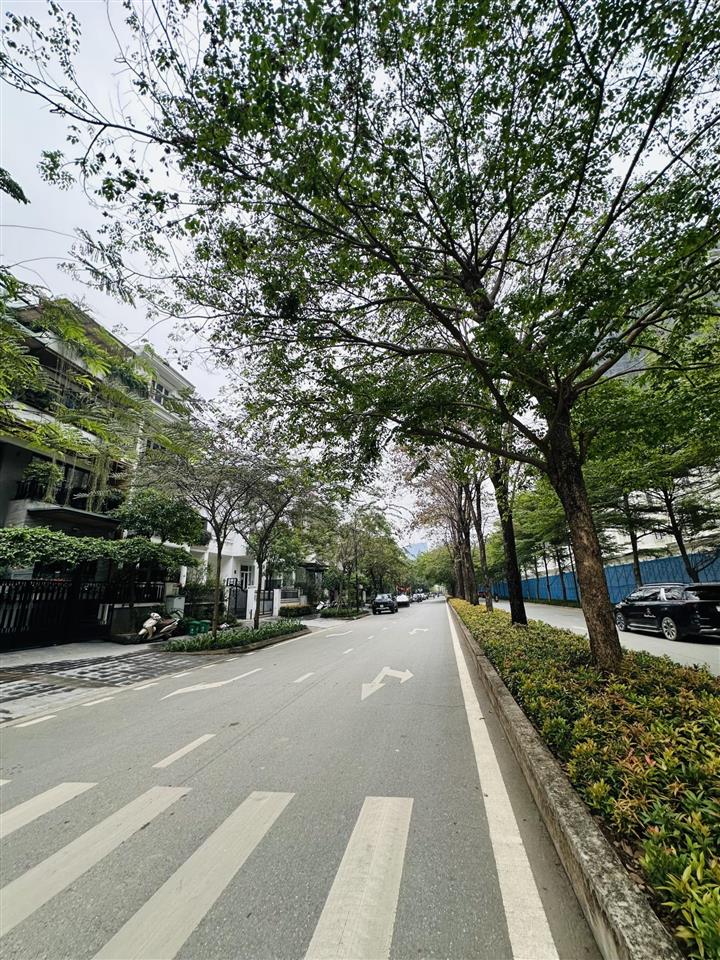 Duy nhất một căn cực hiếm, biệt thự ciputra, khu k trục chính đường đôi 180m2 mặt tiền 9m giá tốt