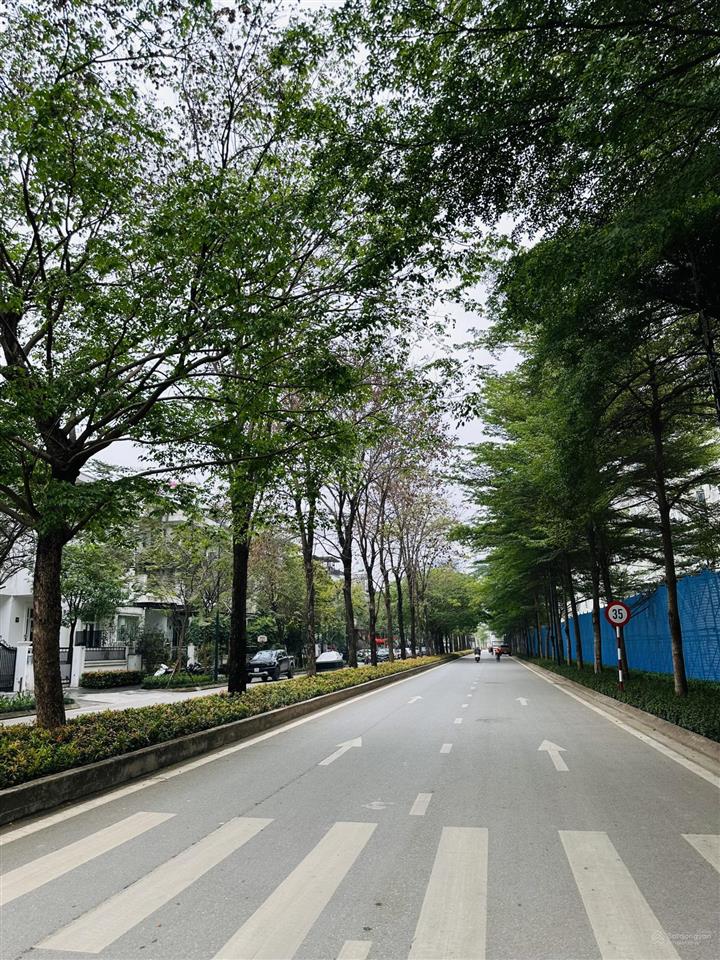 Duy nhất một căn cực hiếm, biệt thự ciputra, khu k trục chính đường đôi 180m2 mặt tiền 9m giá tốt