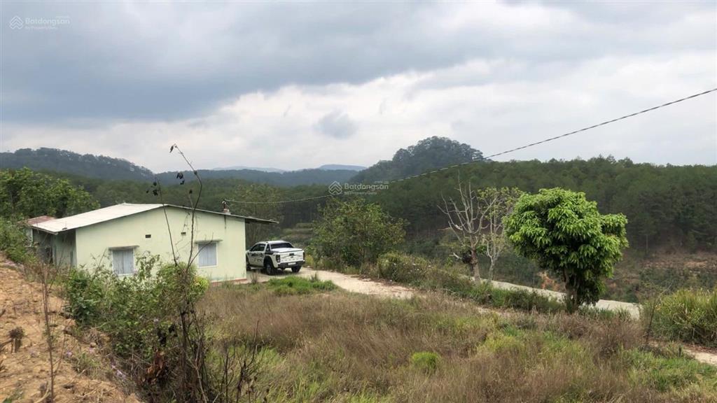 Bán 4.041m² đất view rừng thông, xuân thọ đà lạt  có 400m² thổ cư  cách ql20 chỉ 150m