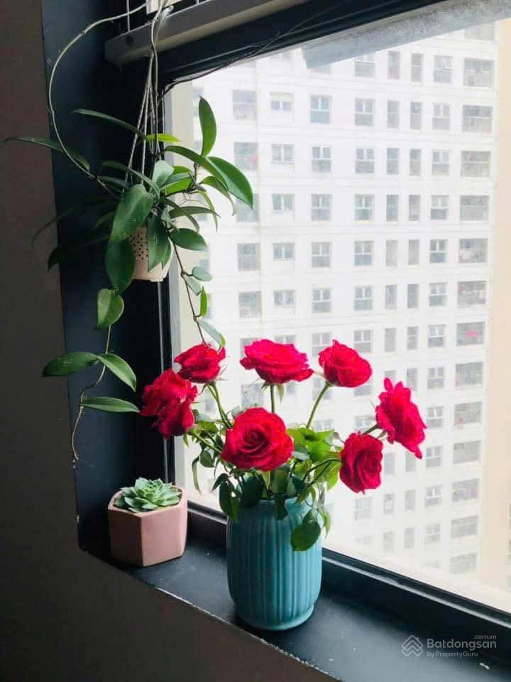 Bán căn 2pn, 2wc. s= 65m2. full đồ. gía 4,3x tỷ. dự án chung cư hh2 xuân mai complex dương nội