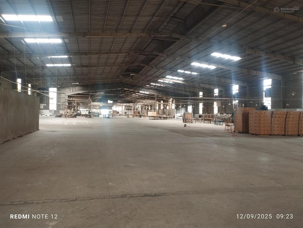 Cho thuê xưởng 5000m2. giá 260tr/tháng. an phú, thuận an, bình dương