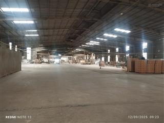 Cho thuê xưởng 5000m2. giá 260tr/tháng. an phú, thuận an, bình dương