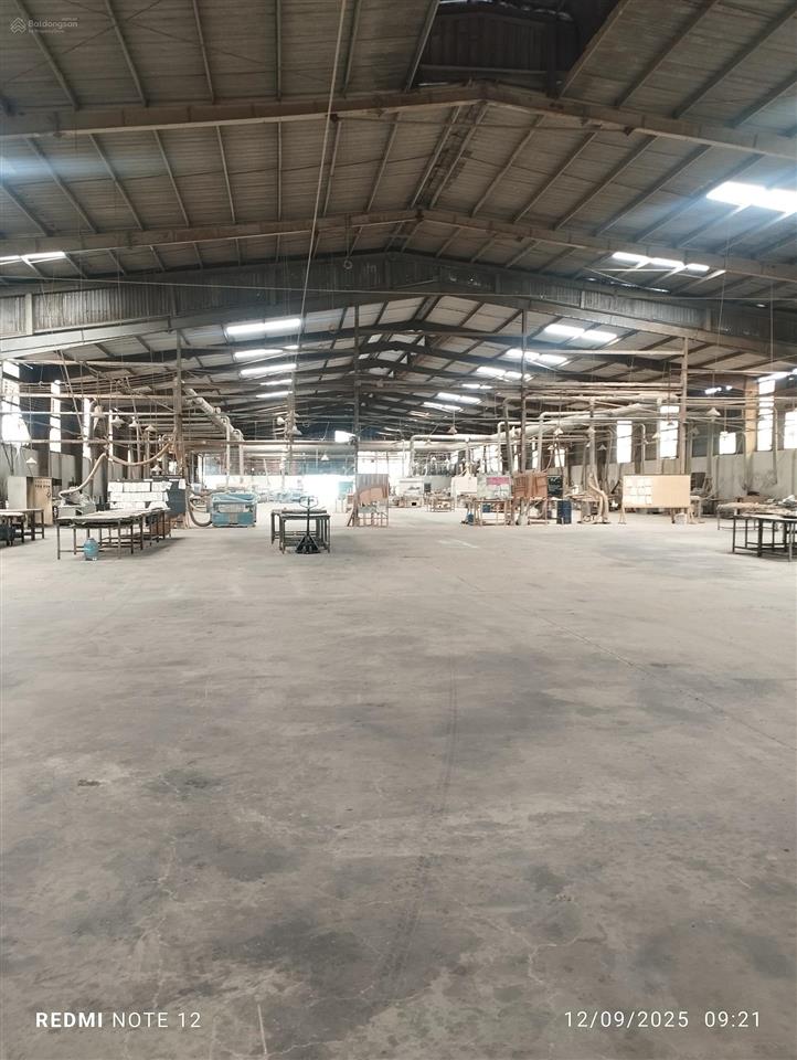 Cho thuê xưởng 5000m2. giá 260tr/tháng. an phú, thuận an, bình dương