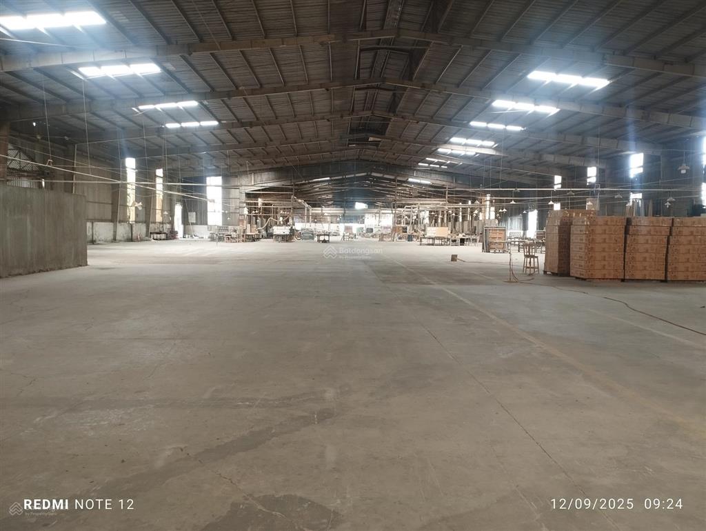 Cho thuê xưởng 5000m2. giá 260tr/tháng. an phú, thuận an, bình dương